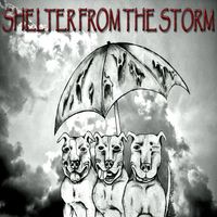 Shelter From The Storm
