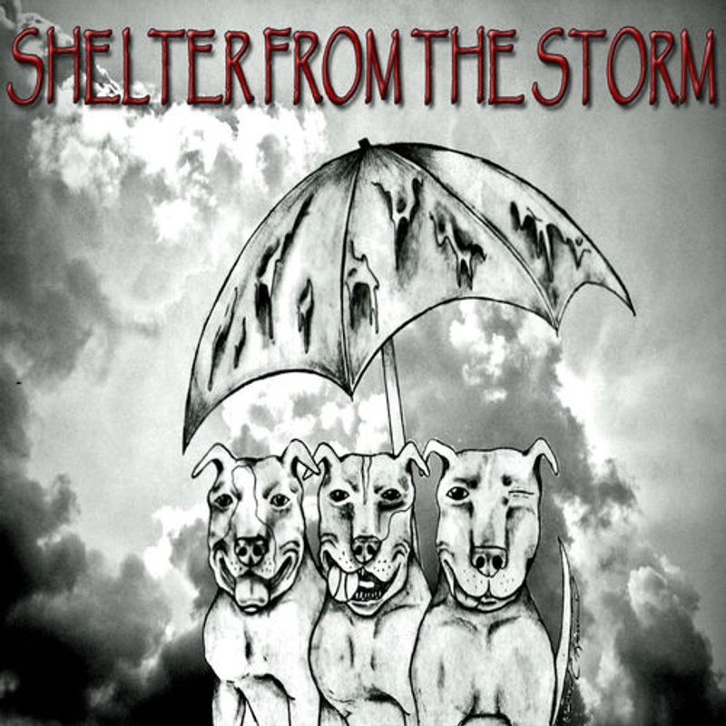 Shelter From The Storm