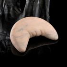 Oli XL + Hekt + Ingrate + Xenia Xamanek - Xenia Xamanek