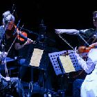 Copenhagen Contemporary String Quartet