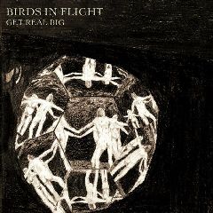Birds In Flight