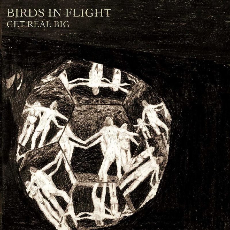 Birds in Flight