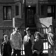 Raindogs