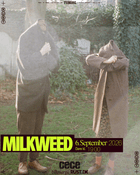 Milkweed (US)
