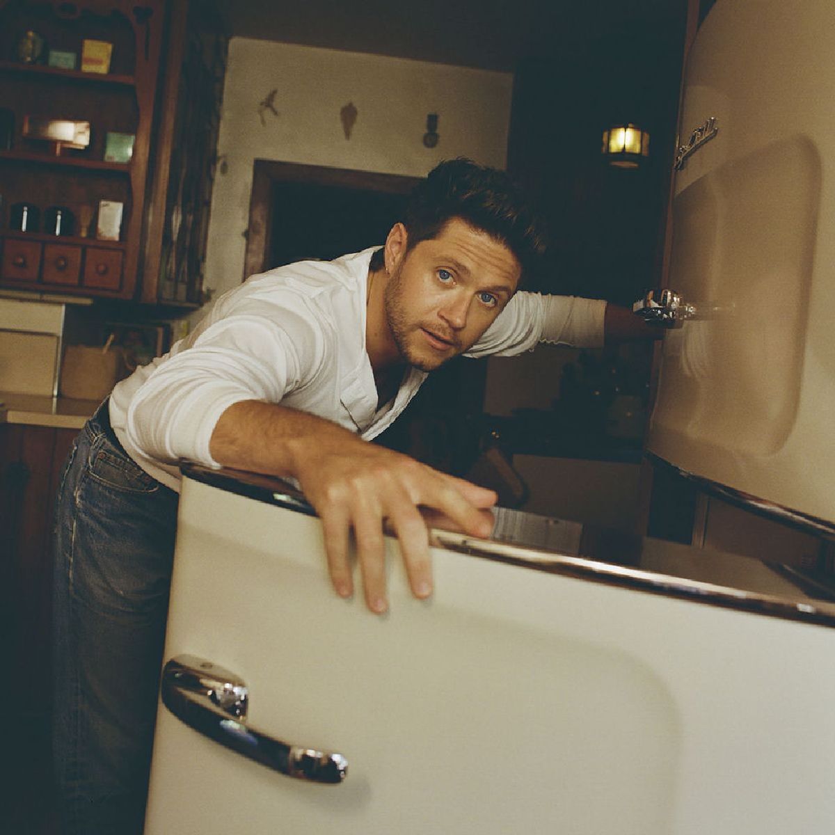 Niall Horan: Dinner Party Live On Tour