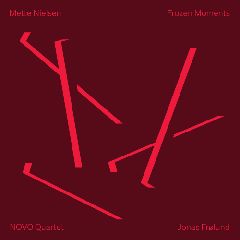 Novo Quartet