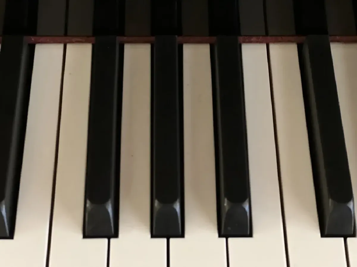 Bærentzen, Esbjerg & Flensborg Pianotrio