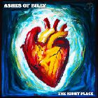 BYPARKSKONCERT MED JUNKYARD DRIVE + ASHES OF BILLY + AAL