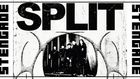 Split + Special Guest: Torn From Oblivion [NL]