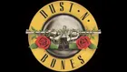 Dust n' Bones - Guns n' Roses tribute på 28 Live i Roskilde