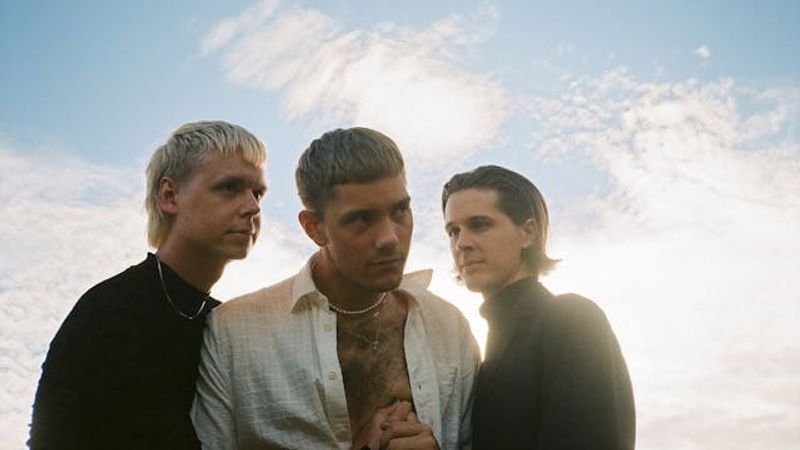 Farveblind + support