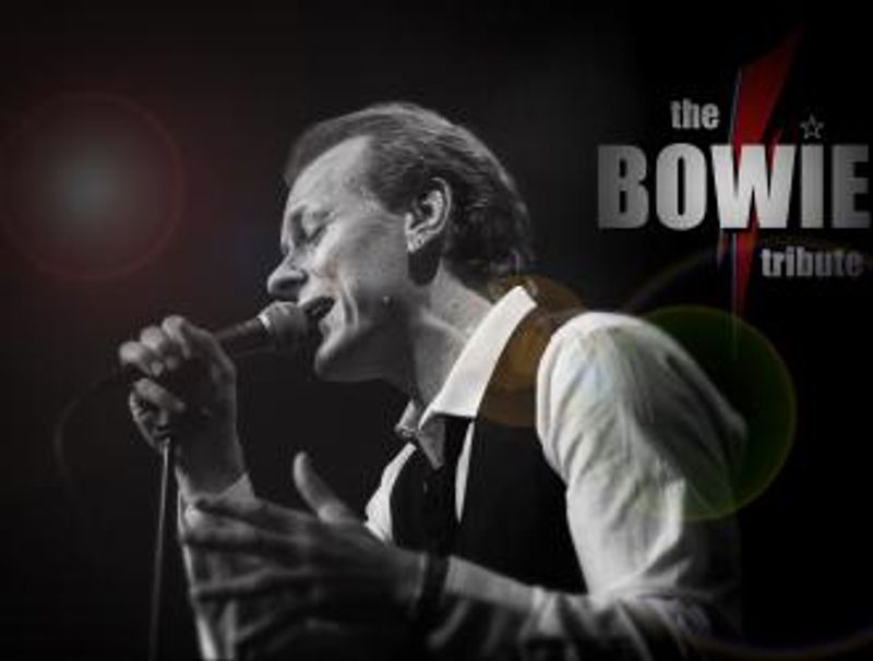 the BOWIE tribute
