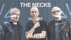 The Necks