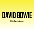 David Bowie Tribute