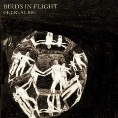 Birds in Flight