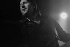 Hoffmanns Blues Dogs - Artist of the month