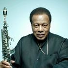 Wild Flower: A Tribute To Wayne Shorter