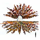 Drink The Sea - Presale