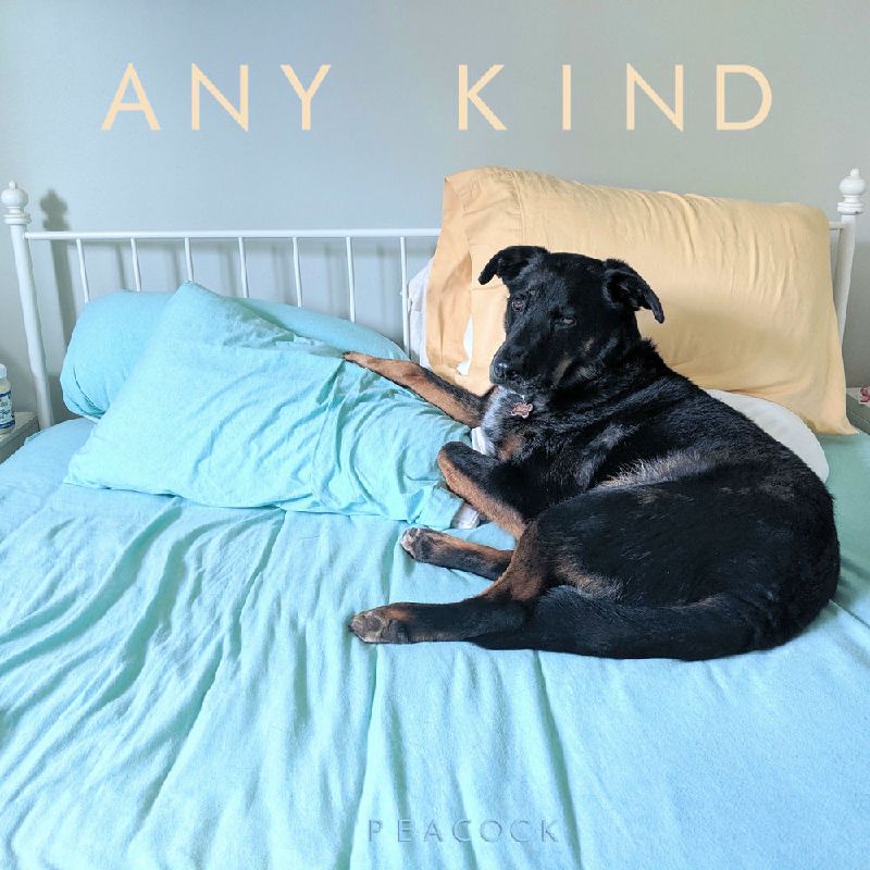 Any Kind
