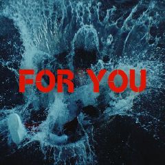 Users