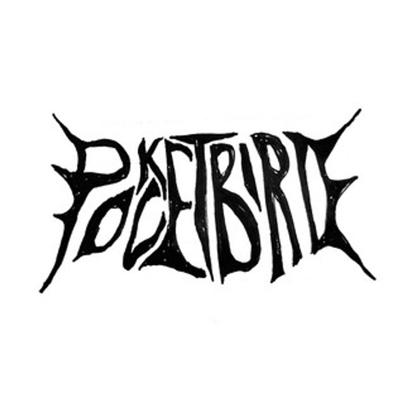 Let’s go mgmt præsenterer: Pocketbird + Holly Horsepower + Celebrant