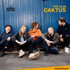 Caktus