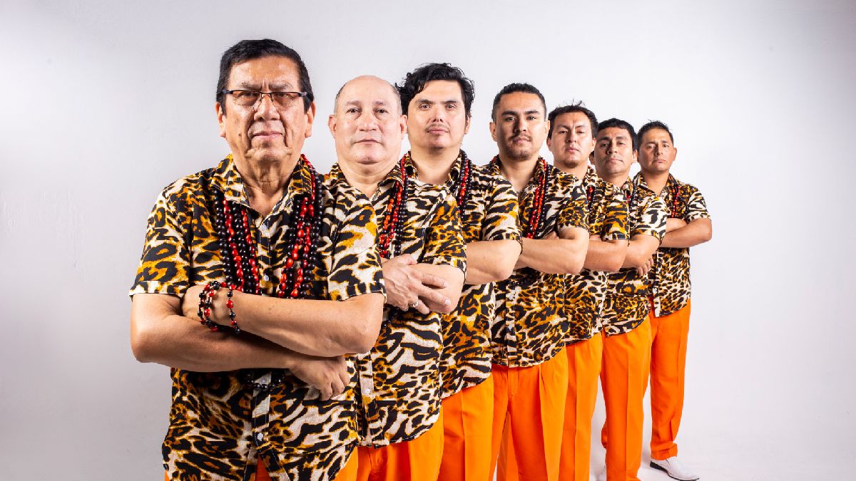 Los Mirlos