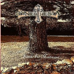 Synesthesia