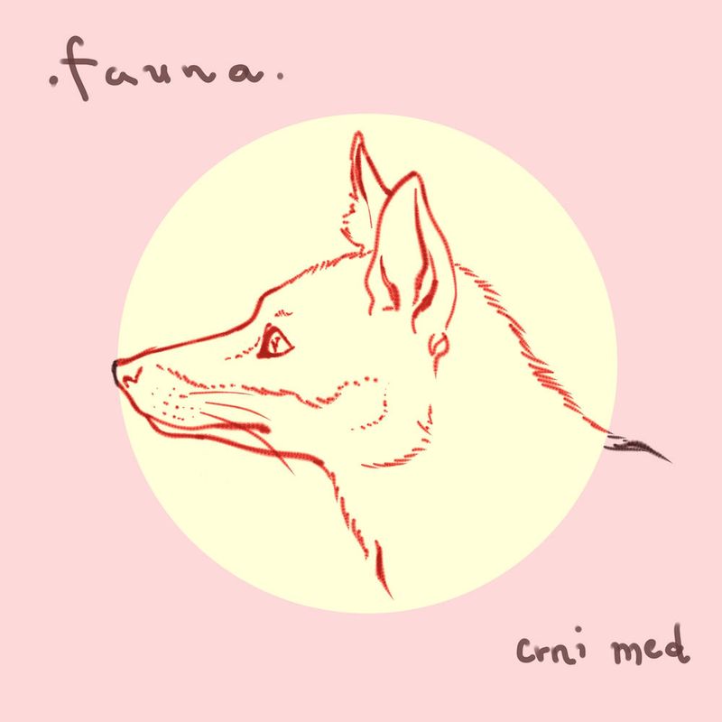 Fauna