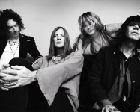 The Dandy Warhols