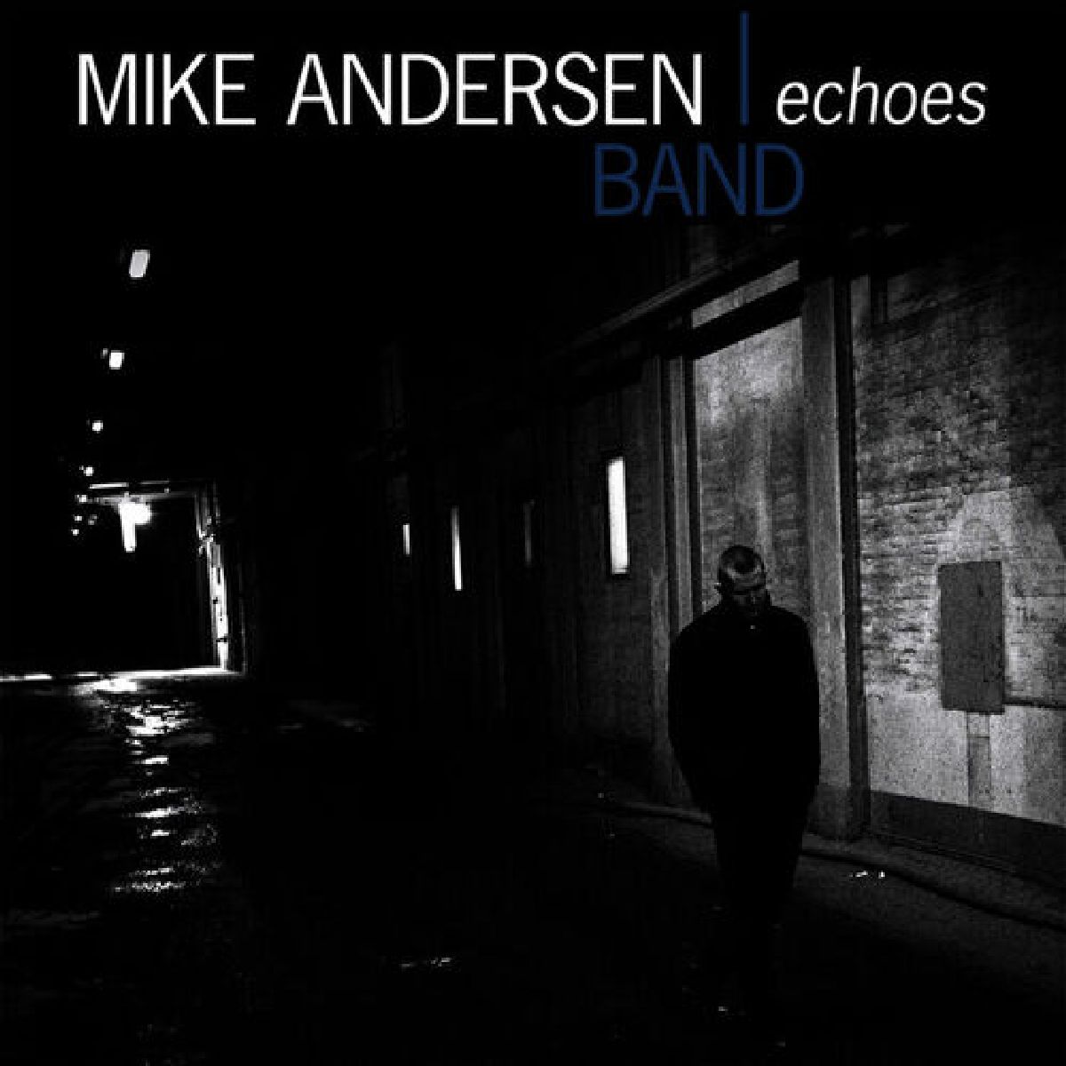 Mike Andersen & Band