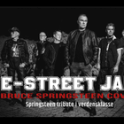 E-STREET JAM – Bruce Springsteen Cover