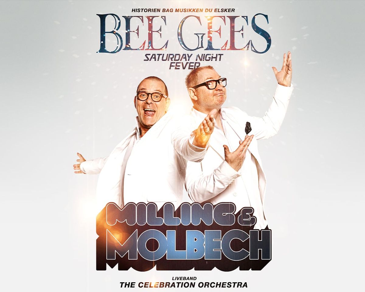 Milling & Molbech – Bee Gees & Saturday Night Fever