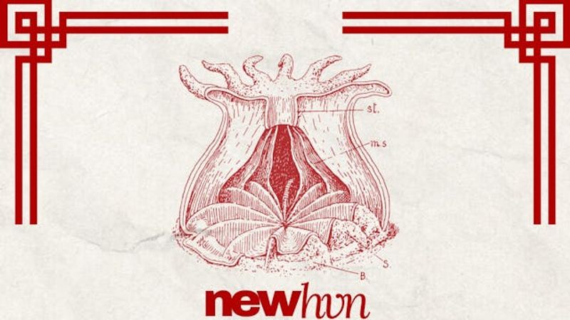 NEWHVN