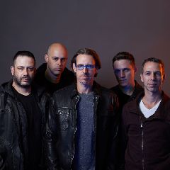Synergi