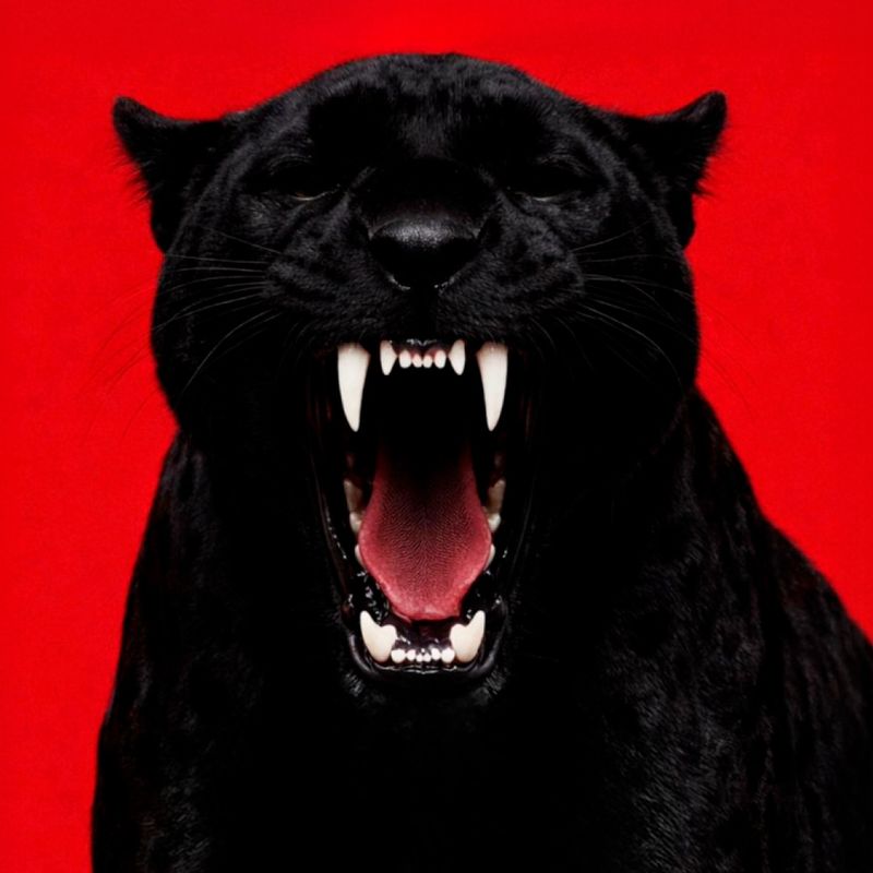 HORNSLETH: UNTAMED JUNGLE