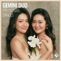 Gemini Duo