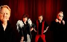 Dodo & the Dodos