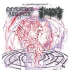 Of Feather and Bone × Civerous