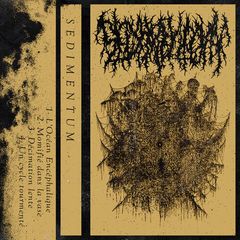 Sedimentum
