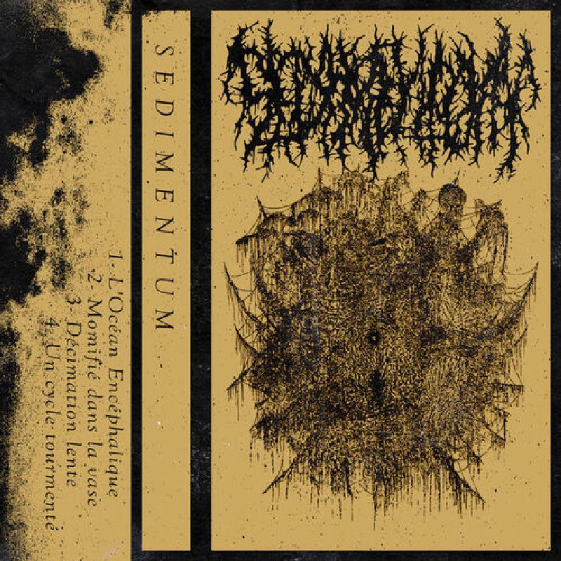 Sedimentum