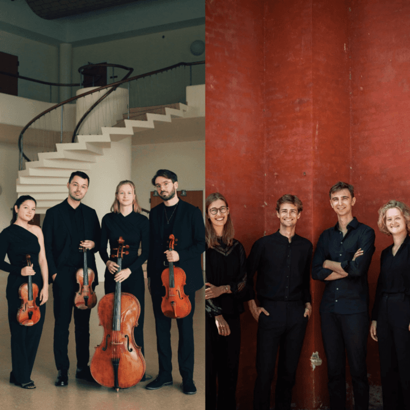 FMF: Novo Quartet & Akela Quartet