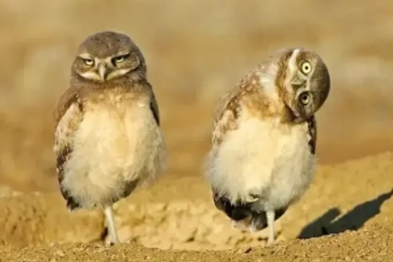 Privat Fest / Closed till 11pm