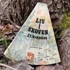 Liv I Skoven - Børnejazz