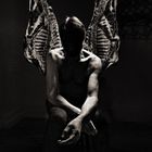 SUEDE - DANCING WITH THE EUROPEANS TOUR